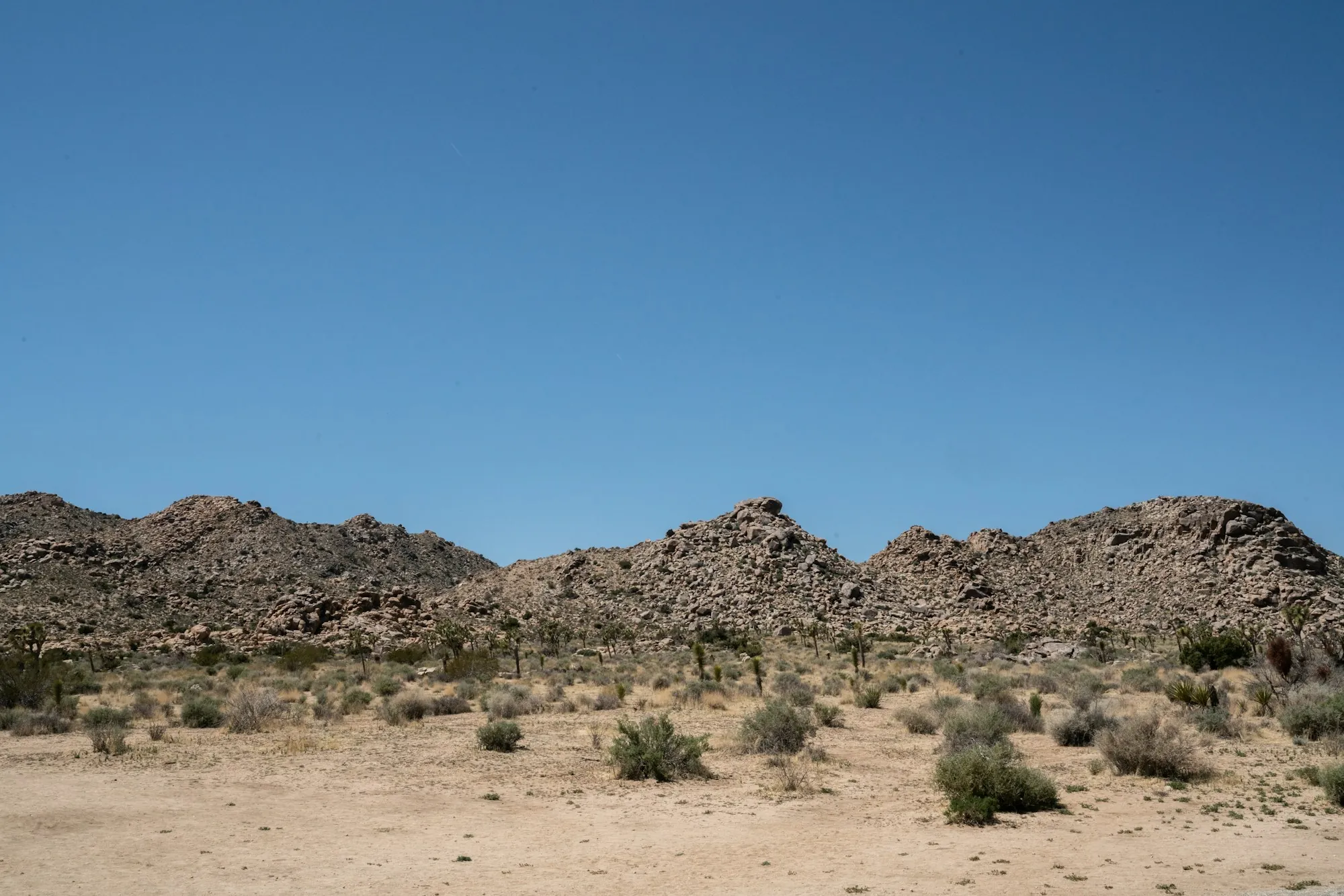 Open desert flat with scrub and rocky hills