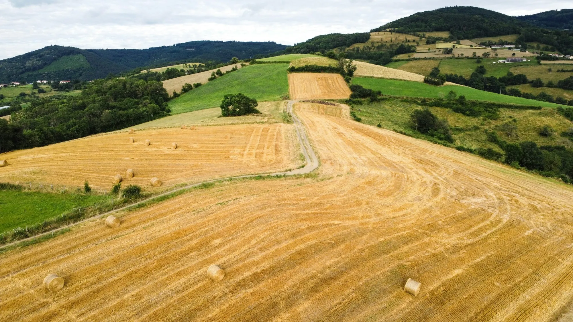 Aerial view of harvested golden fields with round bales